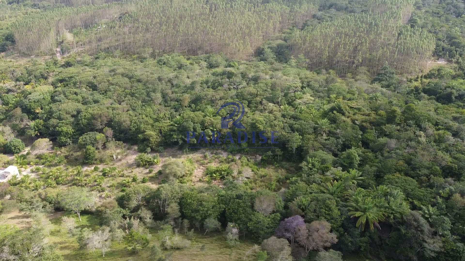 Fazenda à venda com 3 quartos, 136000m² - Foto 20