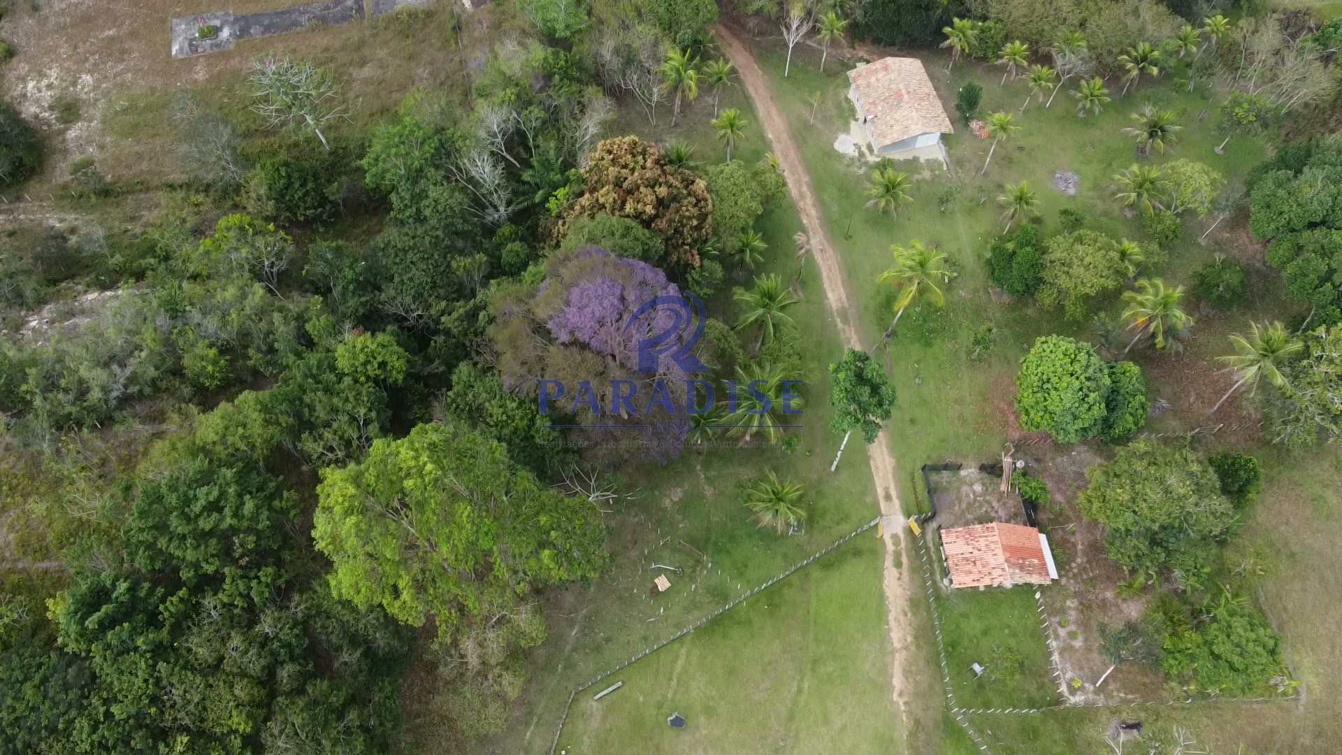 Fazenda à venda com 3 quartos, 136000m² - Foto 4