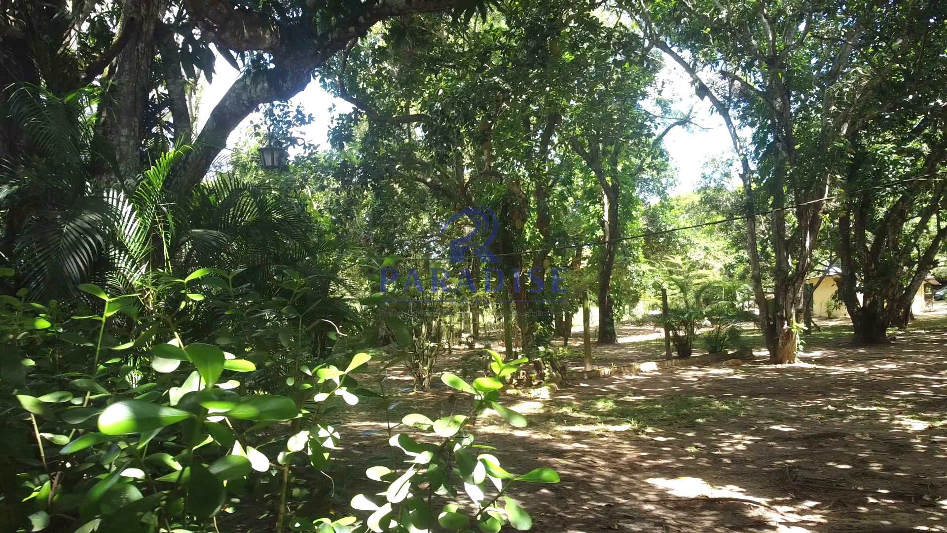 Fazenda à venda com 4 quartos, 2000m² - Foto 14