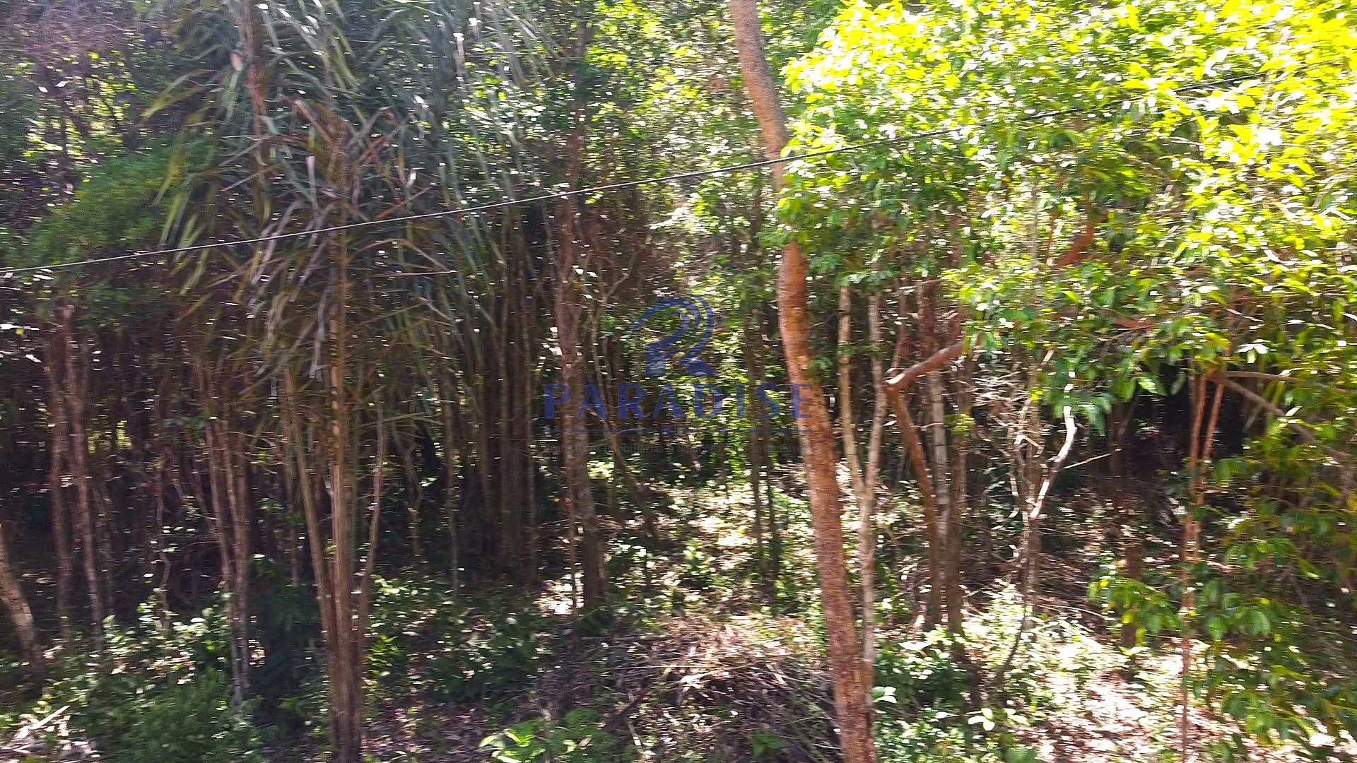 Terreno, Açu da Torre, Mata de São João, R$ 119 mil, Cod: 68848