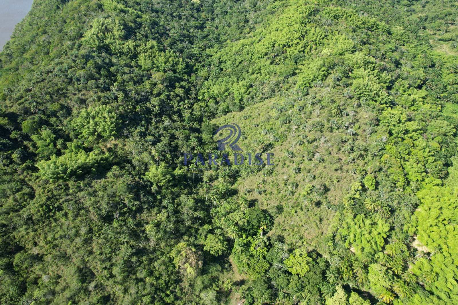 Fazenda, 475 m² - Foto 23