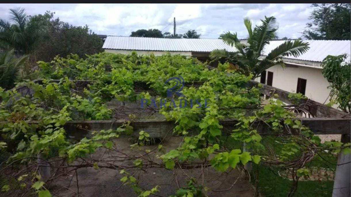 Loteamento e Condomínio, 2 hectares - Foto 7