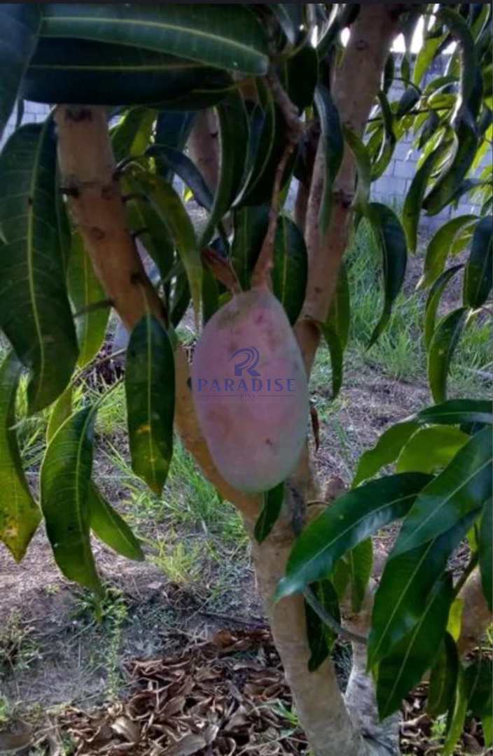 Loteamento e Condomínio, 2 hectares - Foto 19