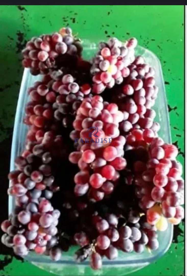 Loteamento e Condomínio, 2 hectares - Foto 14