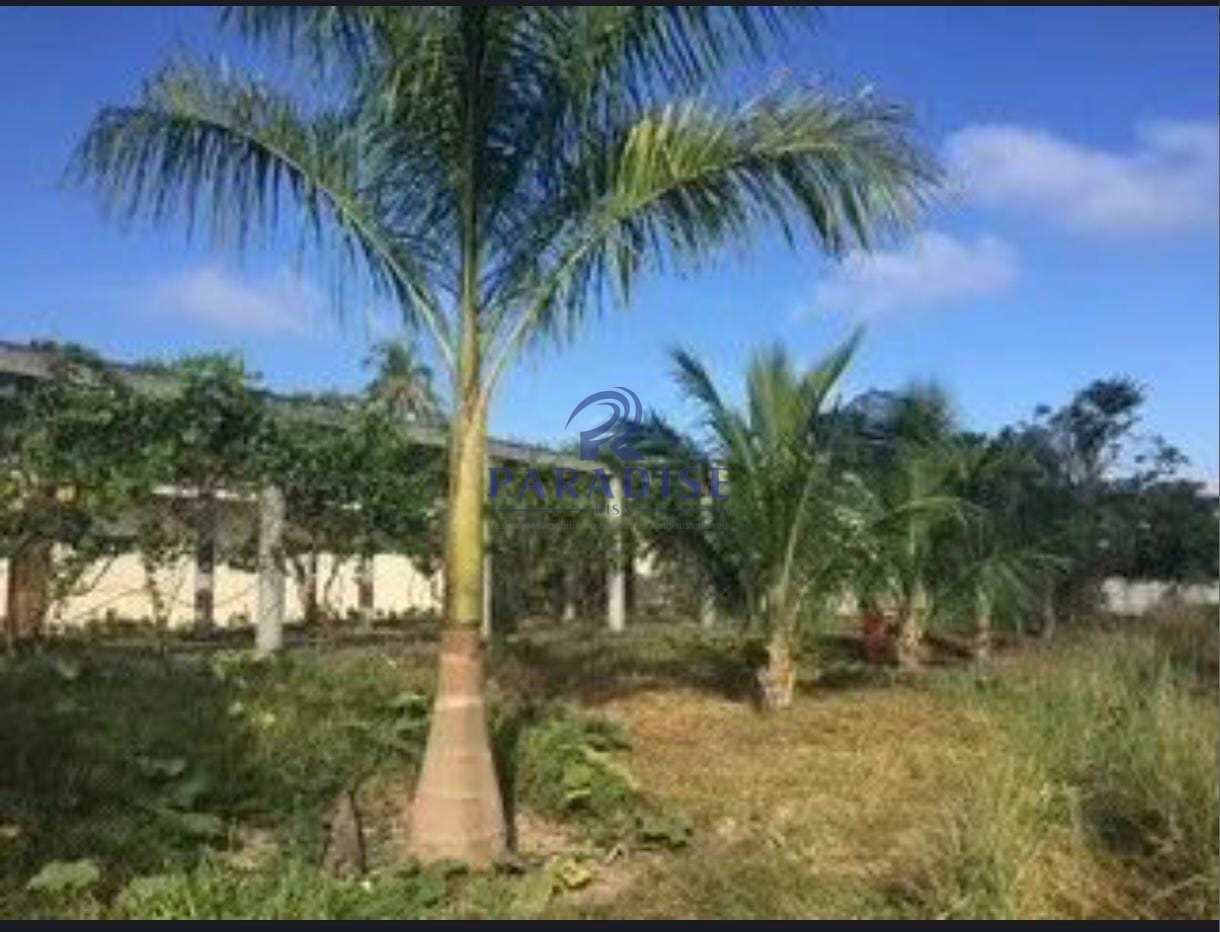 Depósito-Galpão-Armazém à venda, 20000m² - Foto 11