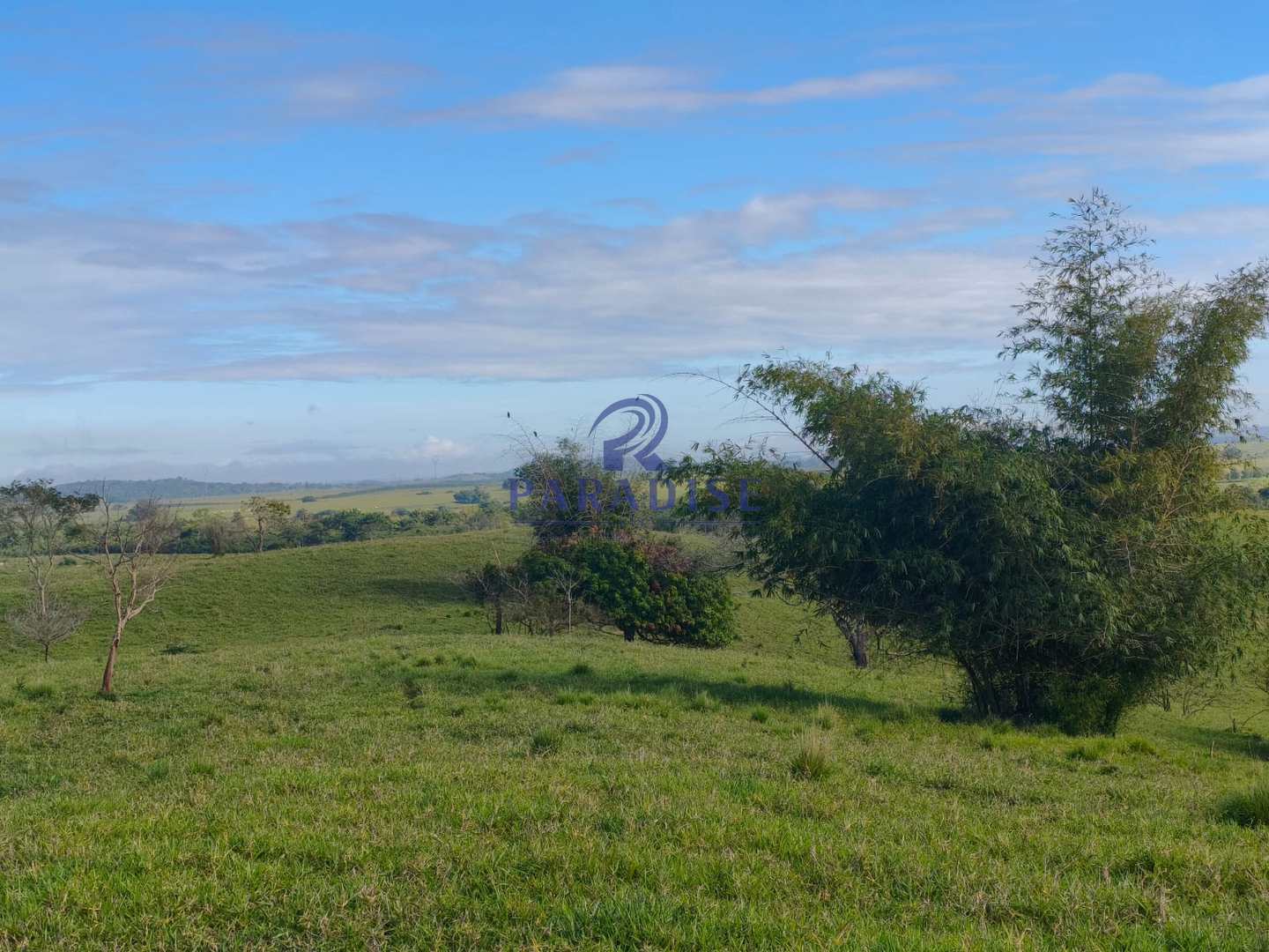 Fazenda, 237 hectares - Foto 5