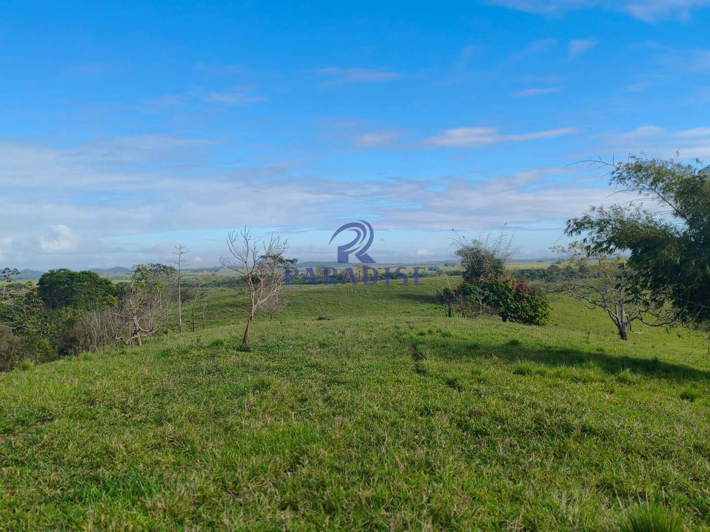 Fazenda, 237 hectares - Foto 4