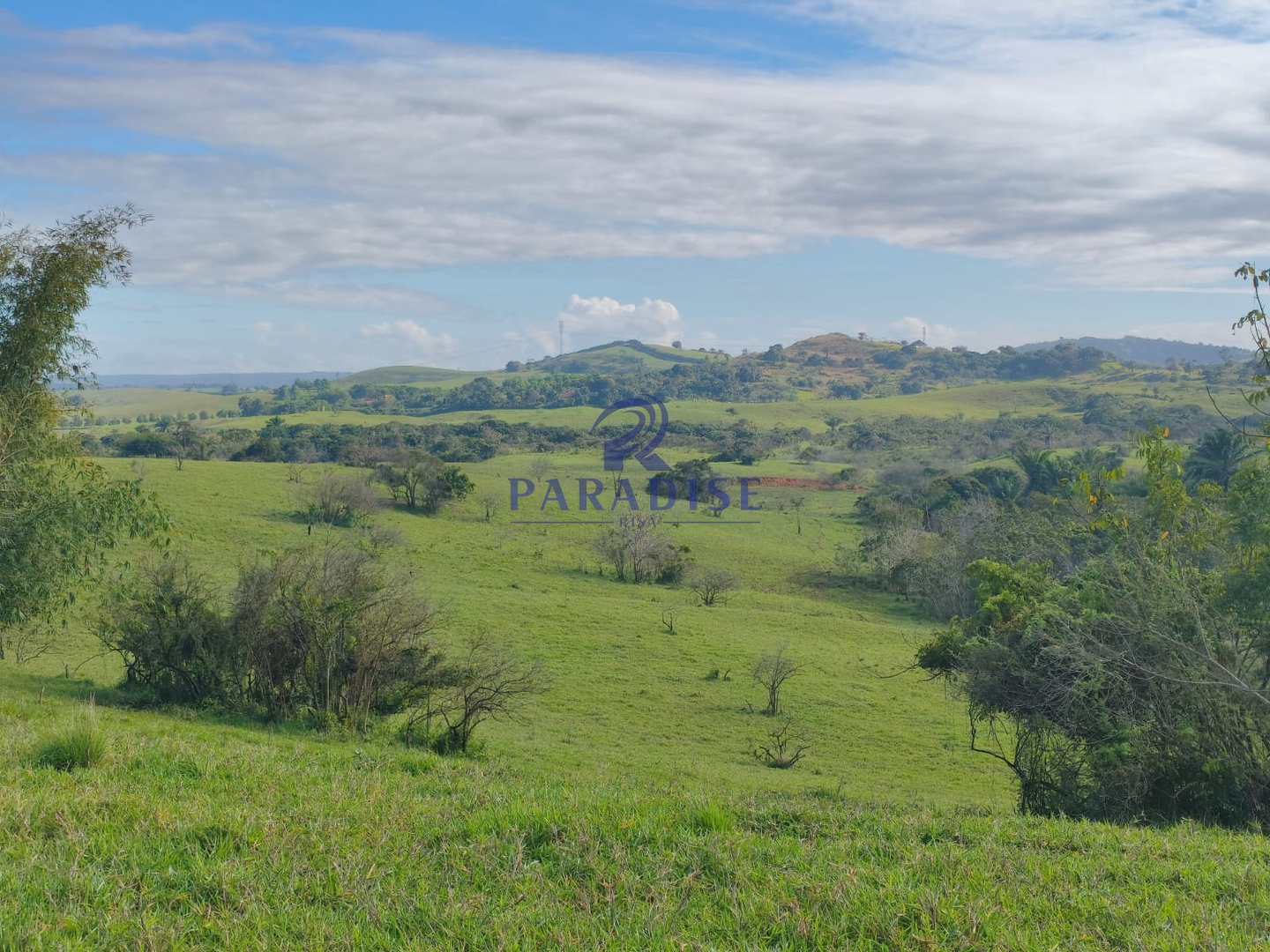 Fazenda, 237 hectares - Foto 2