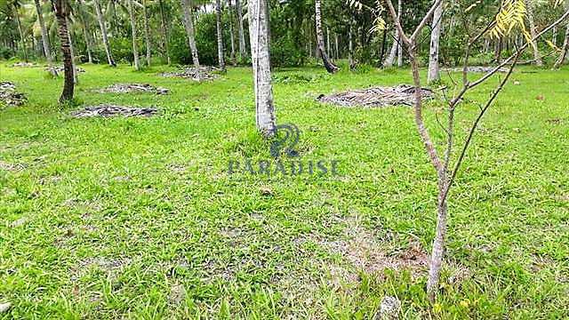 Terreno, 1003 m² - Foto 4