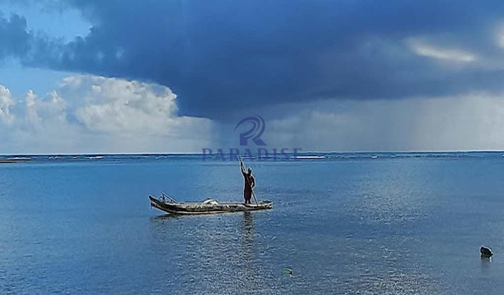 Terreno, 7 hectares - Foto 13