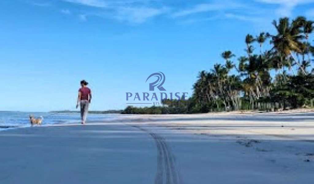 Terreno, 7 hectares - Foto 11