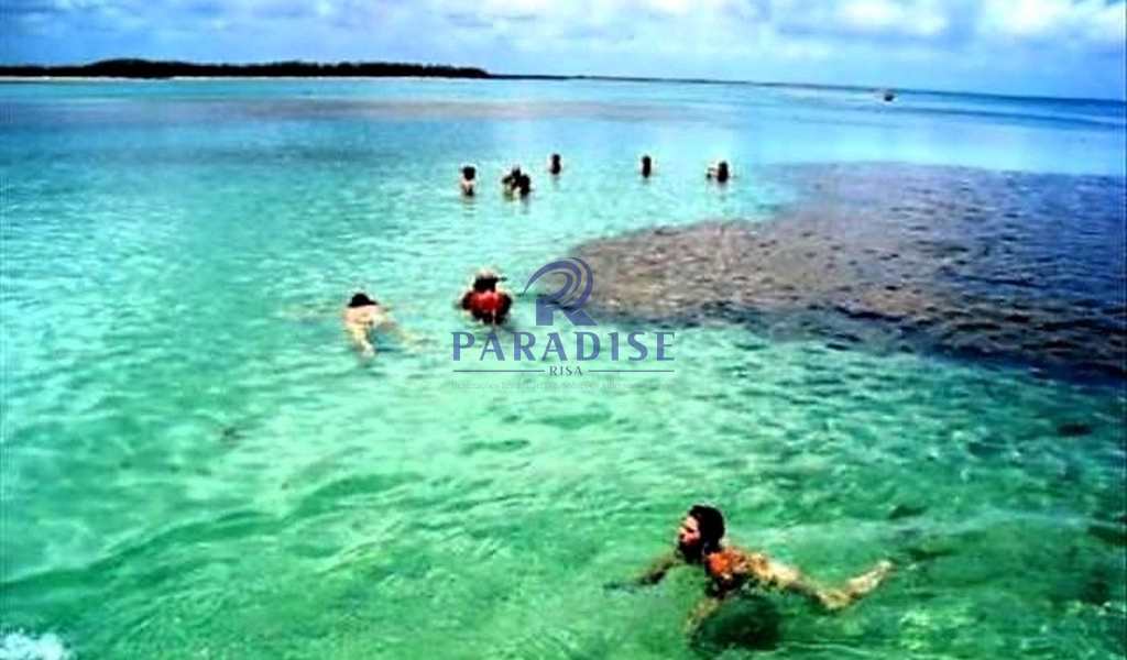 Terreno, 4000 m² - Foto 8