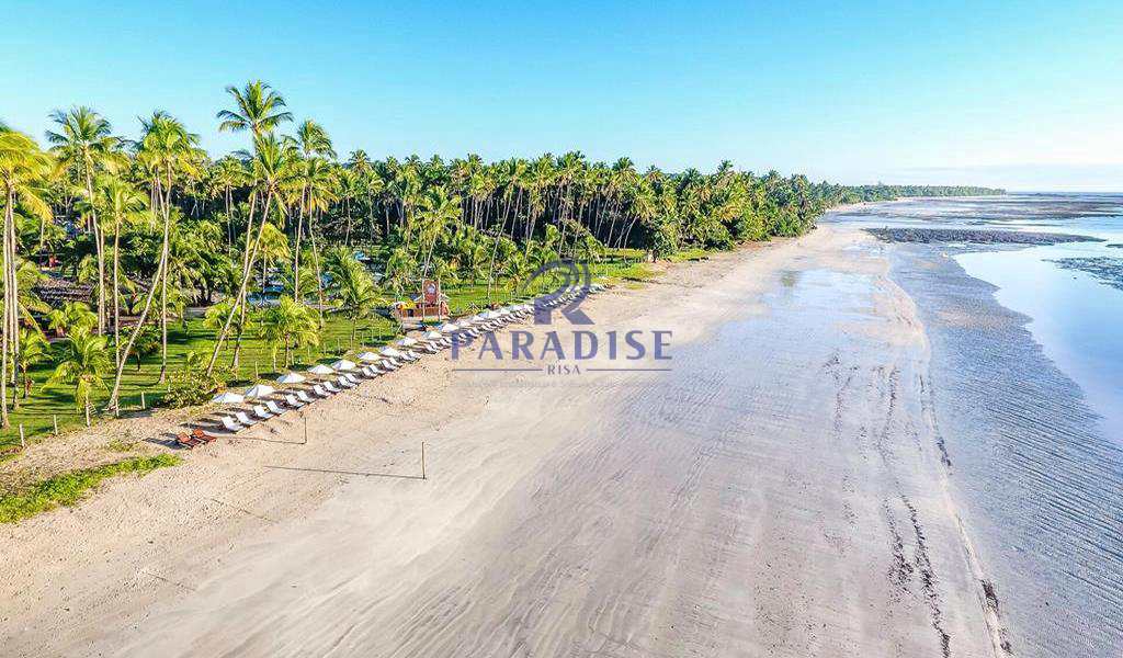 Terreno, 4000 m² - Foto 12