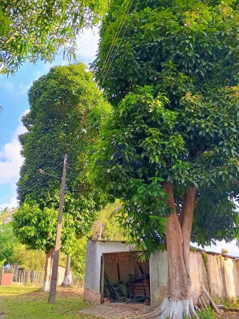 Terreno, 14 hectares - Foto 12