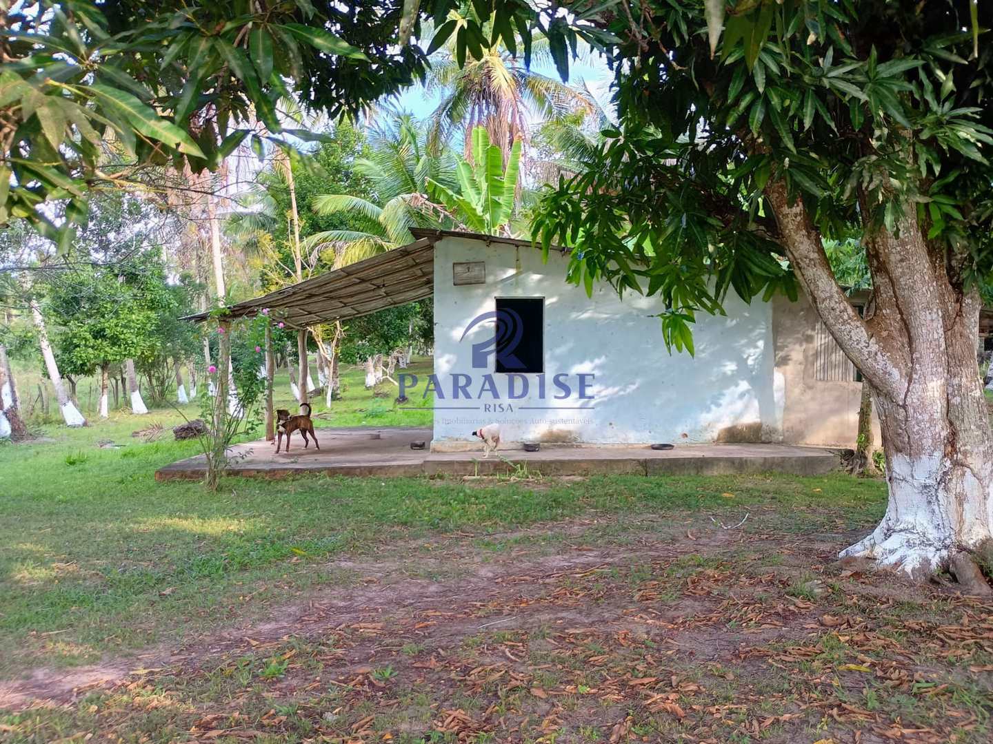 Terreno, 14 hectares - Foto 23