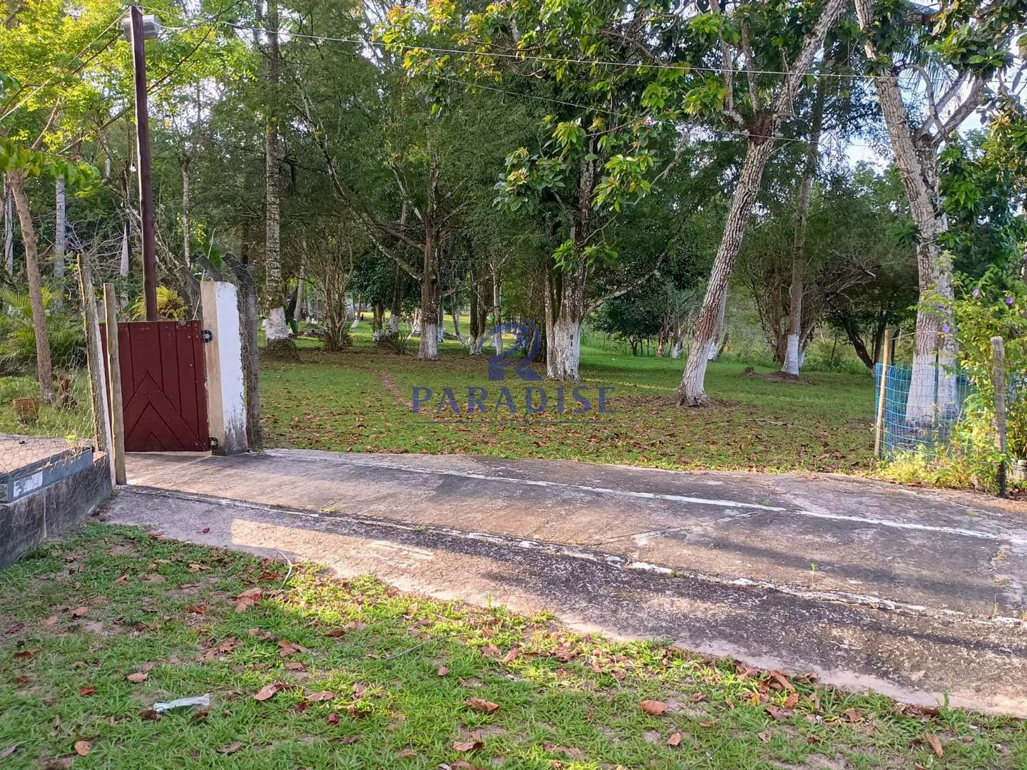 Terreno, 14 hectares - Foto 5