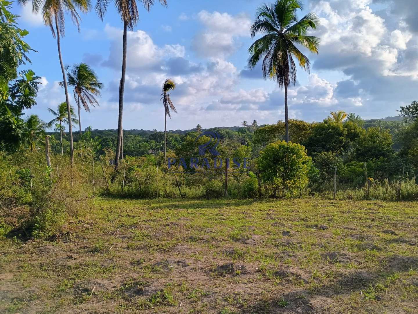 Terreno, 14 hectares - Foto 24