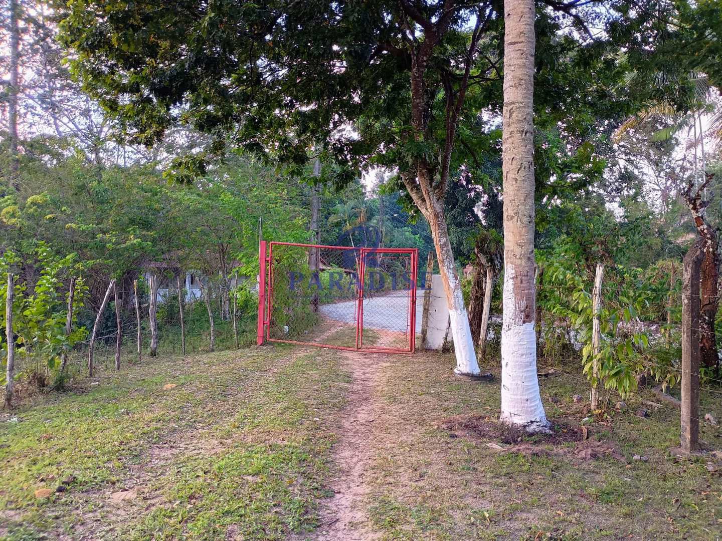 Terreno, 14 hectares - Foto 6