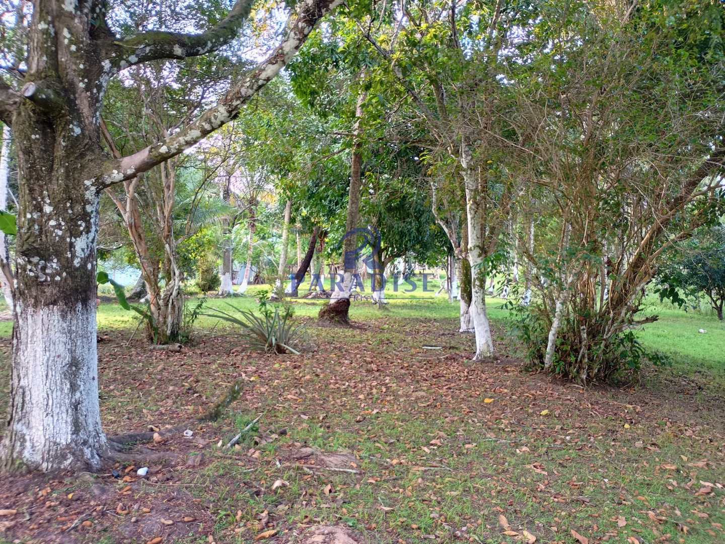 Terreno, 14 hectares - Foto 14