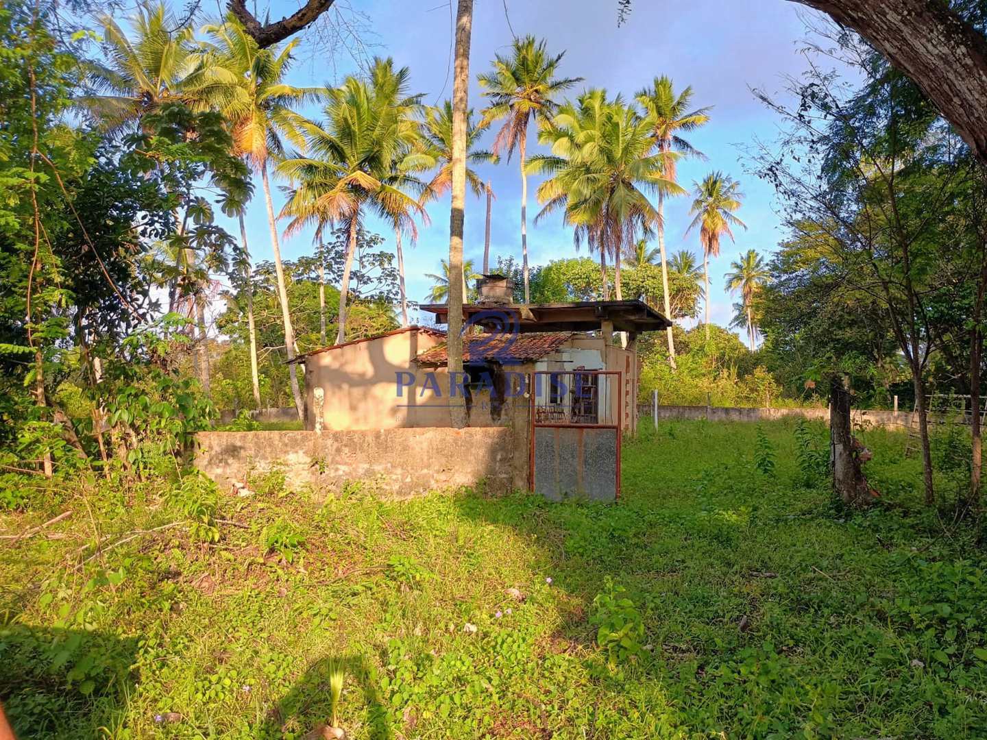 Terreno, 14 hectares - Foto 10