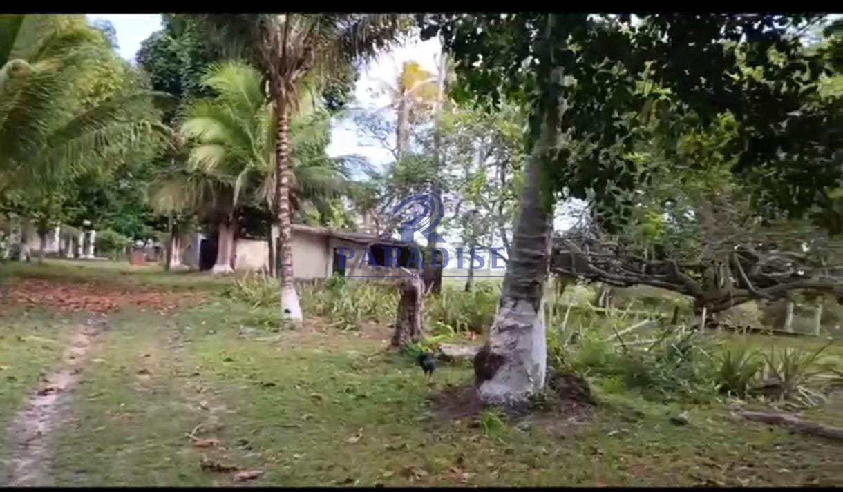 Terreno, 14 hectares - Foto 1