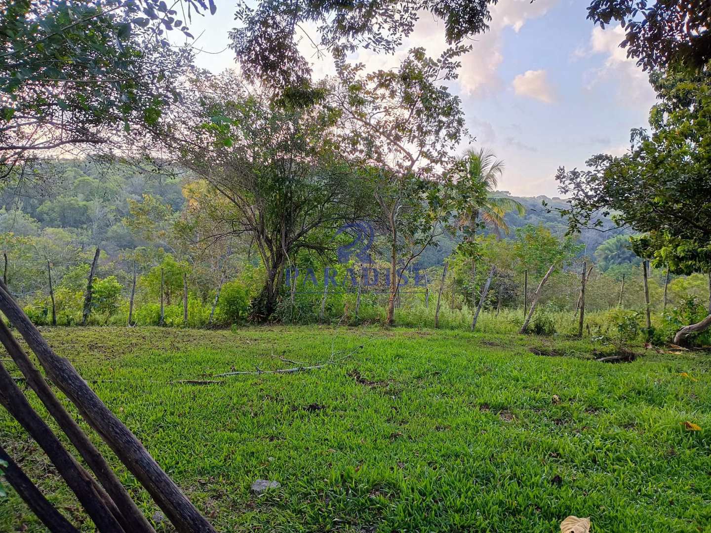 Terreno, 14 hectares - Foto 9