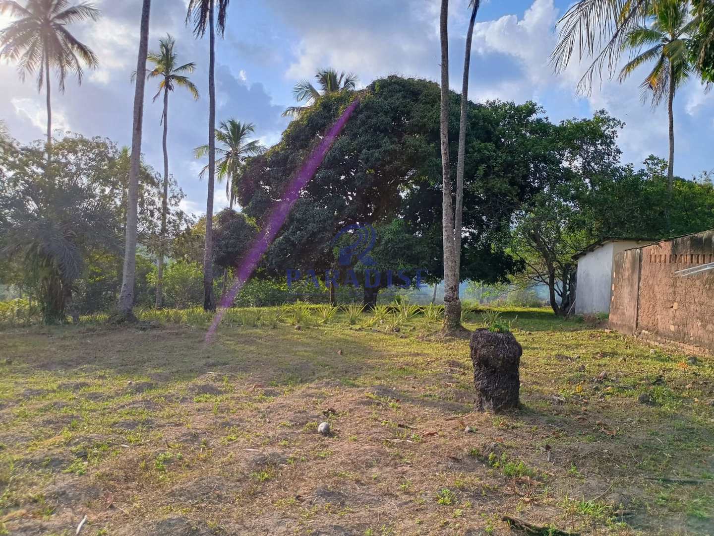 Terreno, 14 hectares - Foto 15