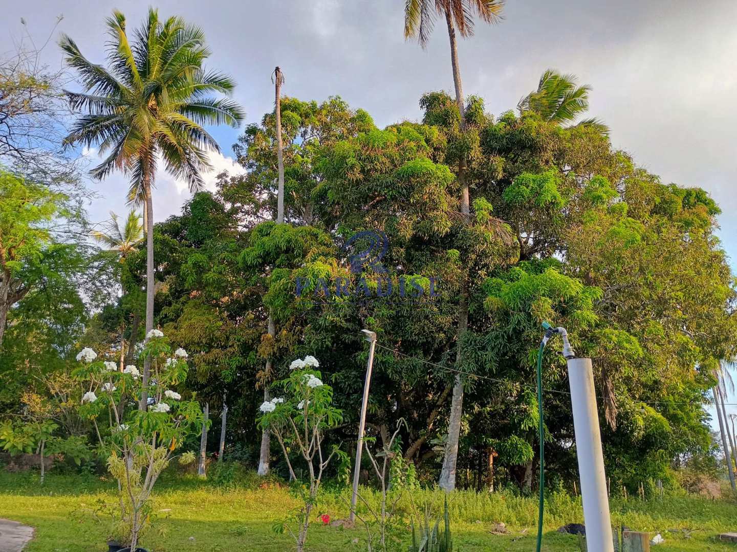 Terreno, 14 hectares - Foto 17