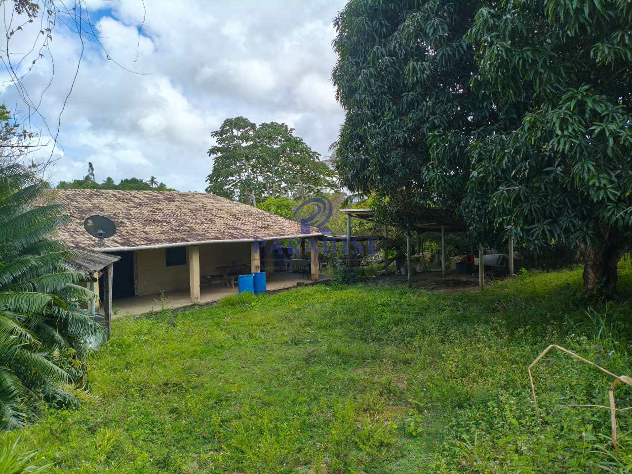 Fazenda-Sítio-Chácara, 26 hectares - Foto 5