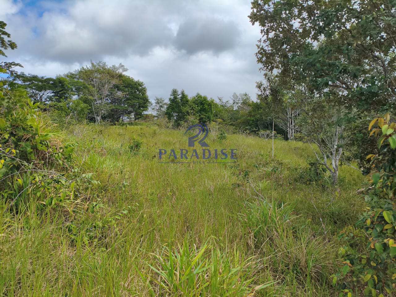 Fazenda-Sítio-Chácara, 26 hectares - Foto 3