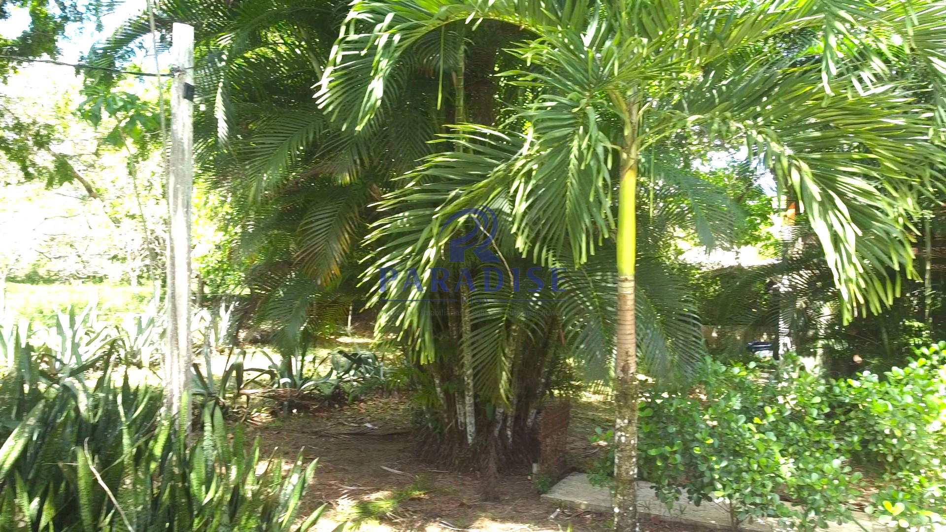 Sítio, 4 quartos, 2640 m² - Foto 12