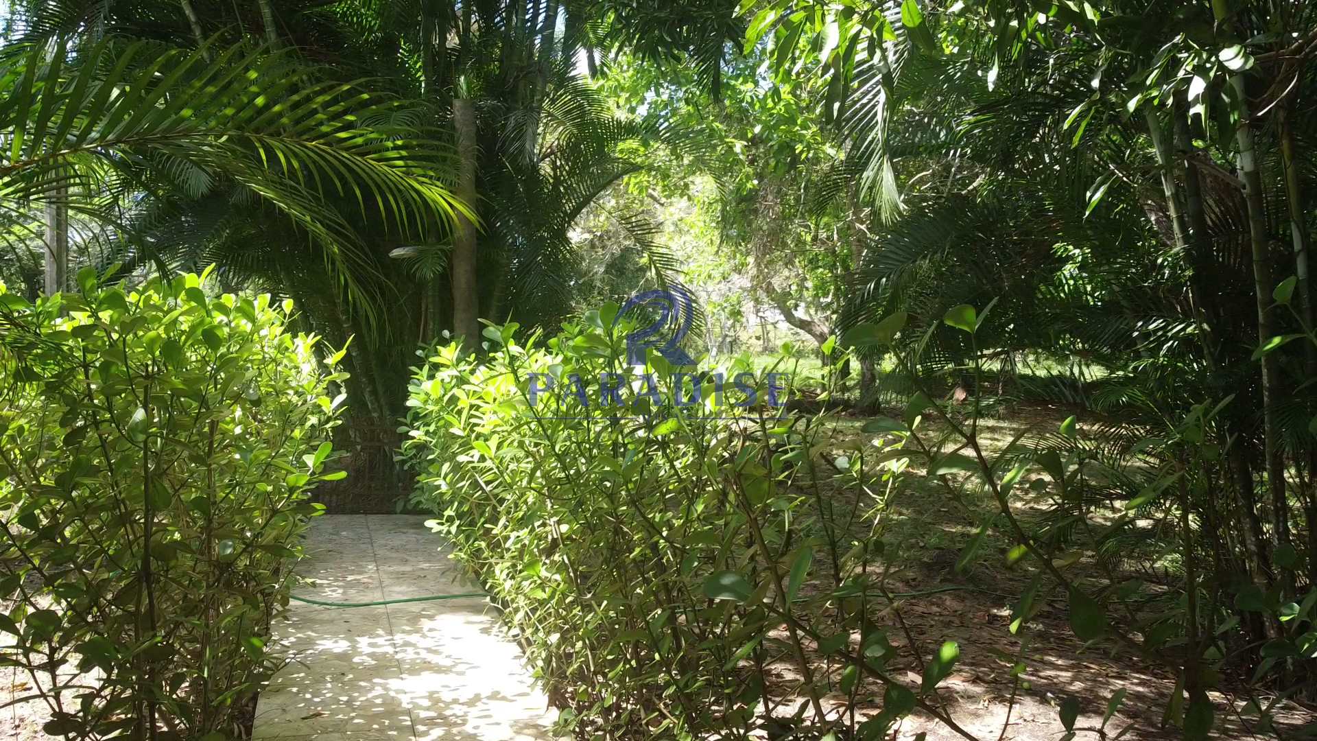 Sítio, 4 quartos, 2640 m² - Foto 14