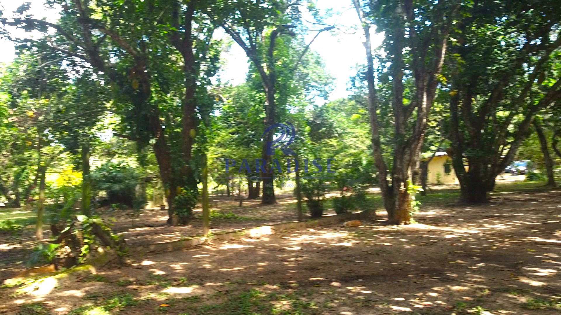 Sítio, 4 quartos, 2640 m² - Foto 7