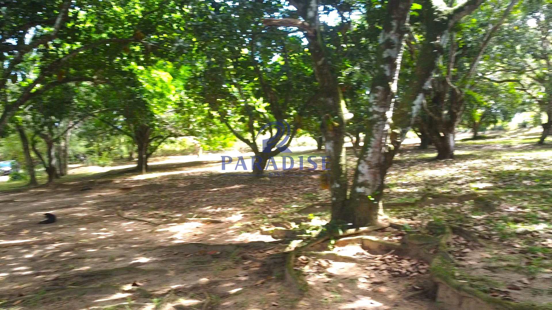 Sítio, 4 quartos, 2640 m² - Foto 8