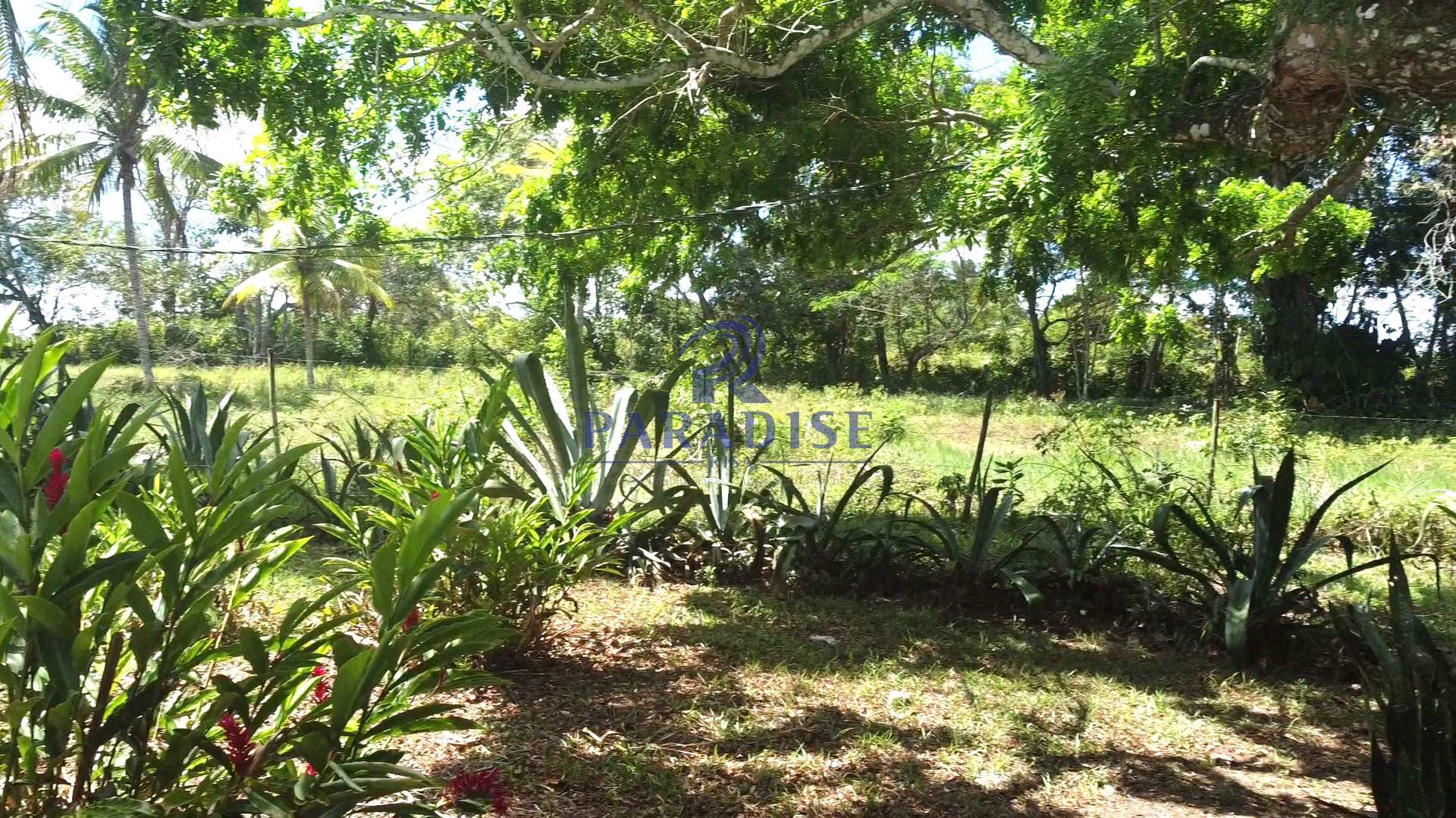 Sítio, 4 quartos, 2640 m² - Foto 11