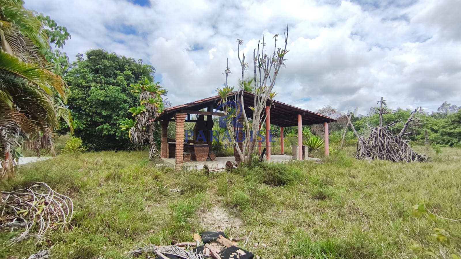 Sítio, 2 hectares - Foto 11