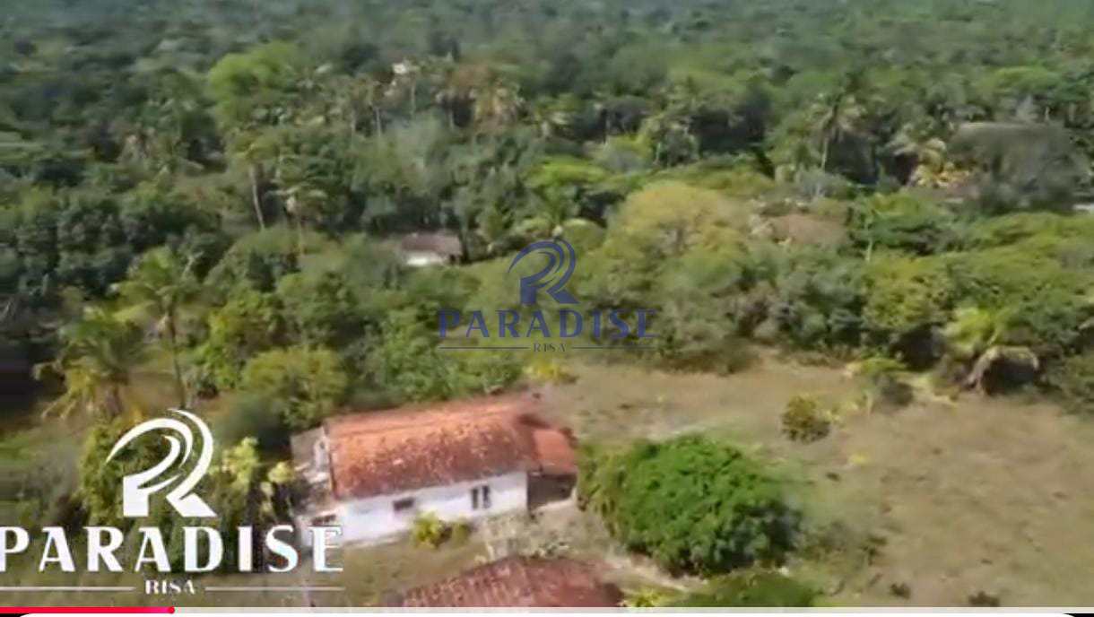 Sítio, 2 hectares - Foto 4