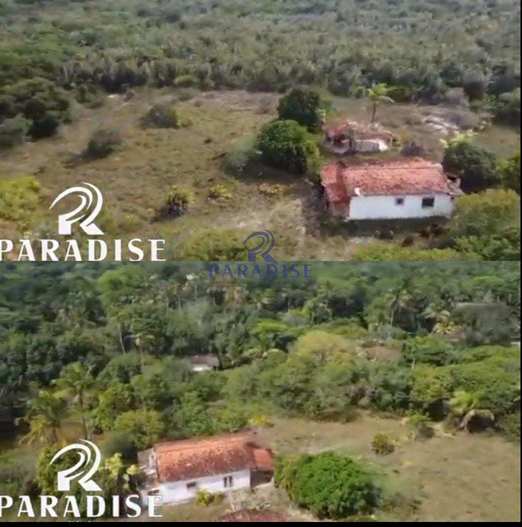 Sítio, 2 hectares - Foto 1