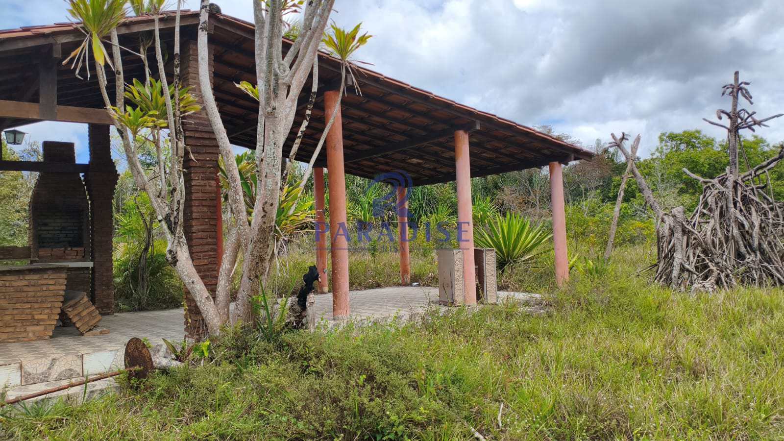 Sítio, 2 hectares - Foto 10