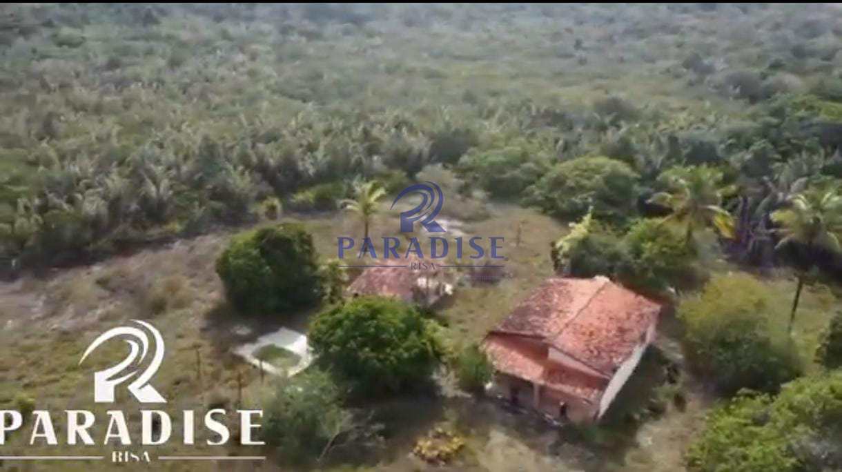 Sítio, 2 hectares - Foto 2