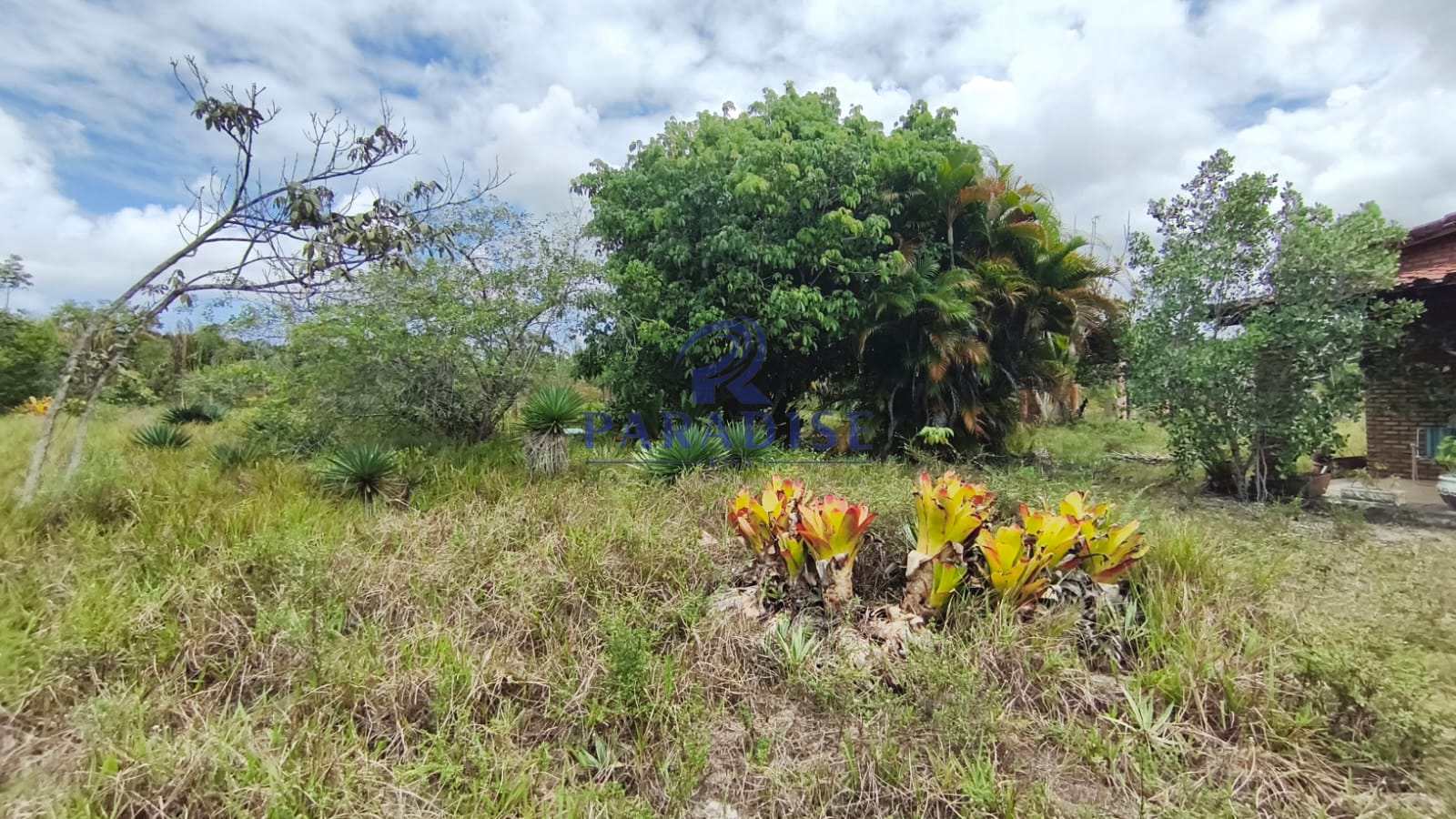 Sítio, 2 hectares - Foto 22