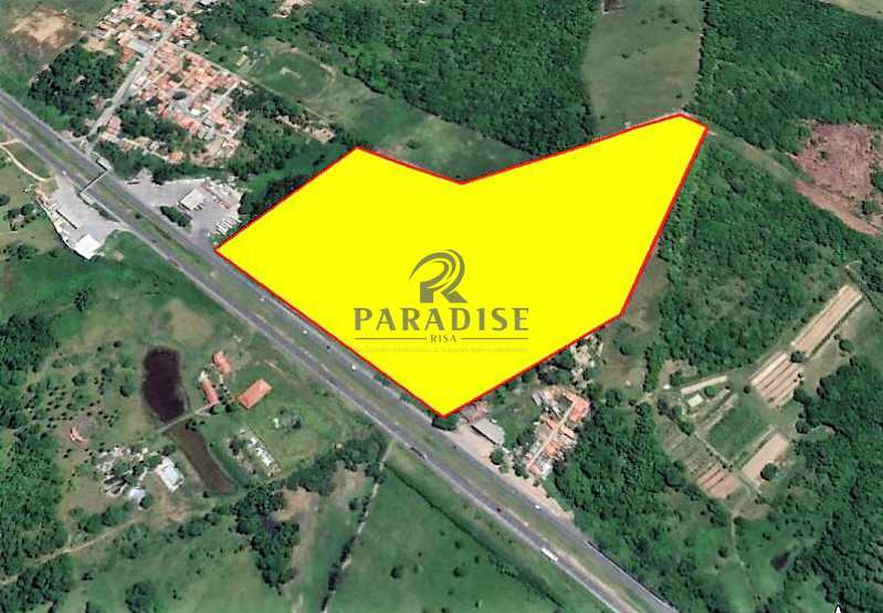 Terreno, 10 hectares - Foto 5