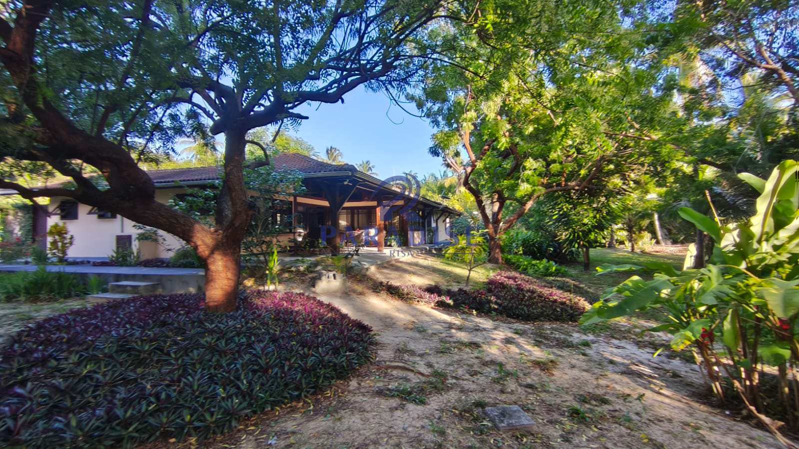 Terreno, 2 hectares - Foto 5