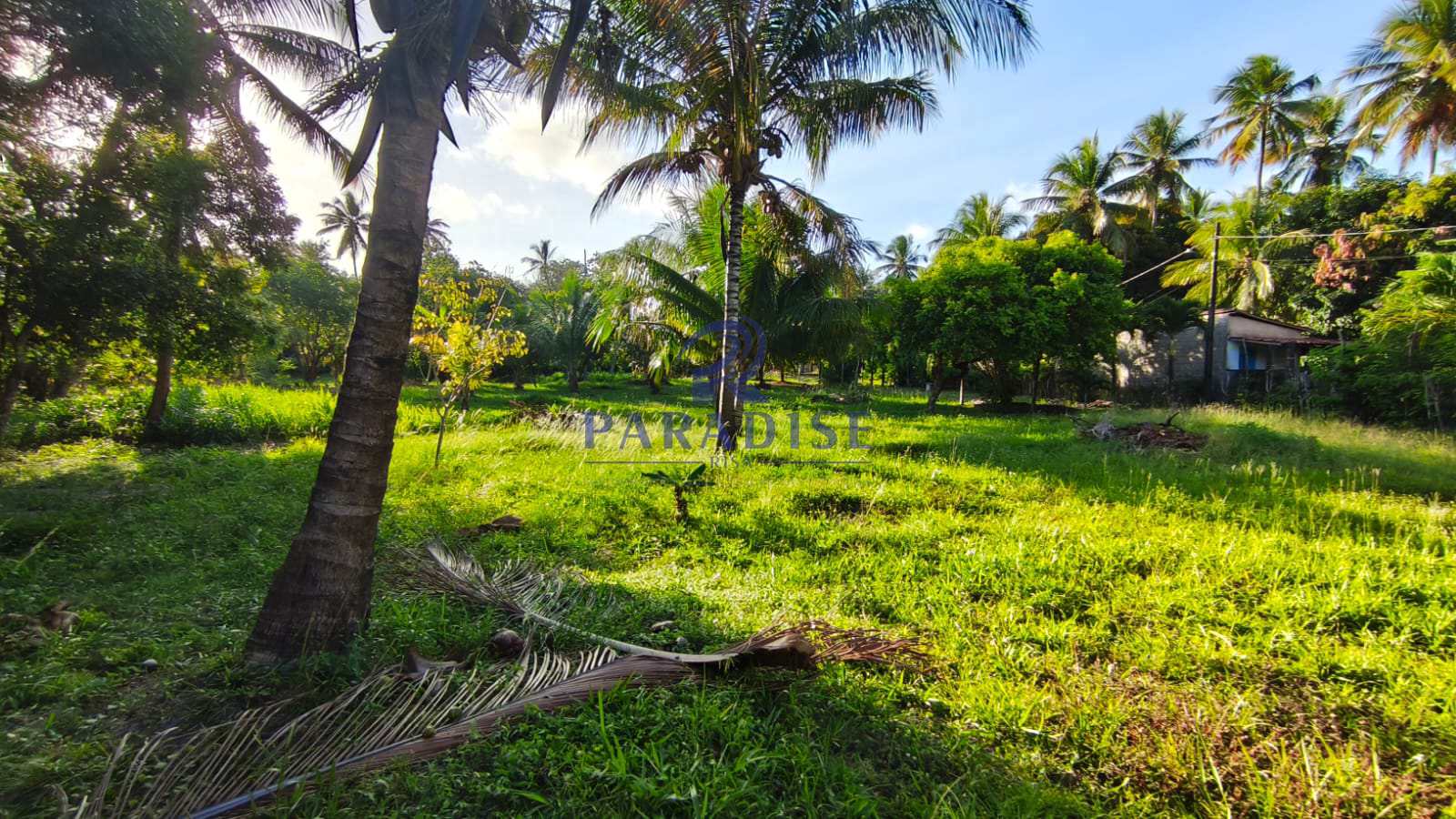 Terreno, 2 hectares - Foto 1