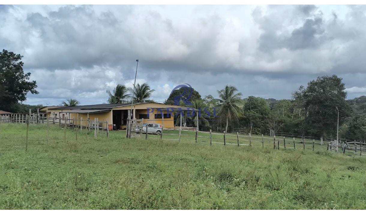 Fazenda-Sítio-Chácara, 3 quartos - Foto 9