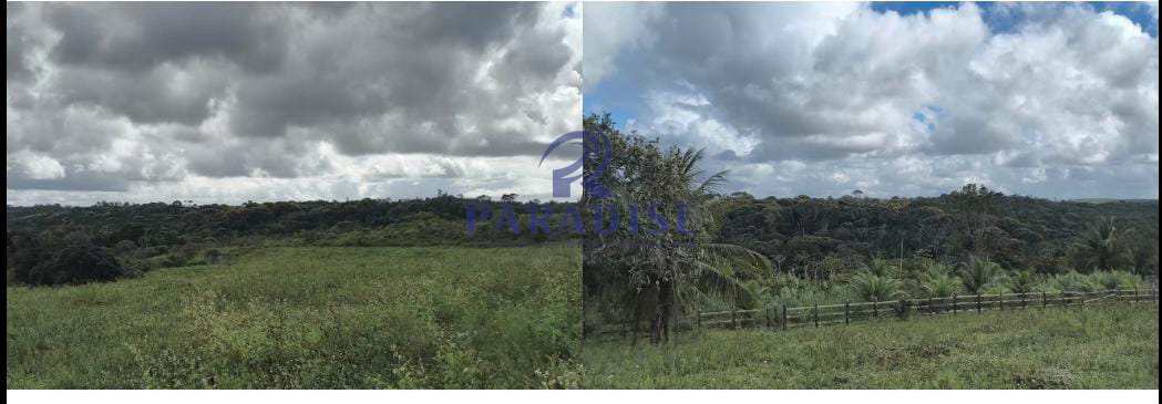 Fazenda-Sítio-Chácara, 3 quartos - Foto 12