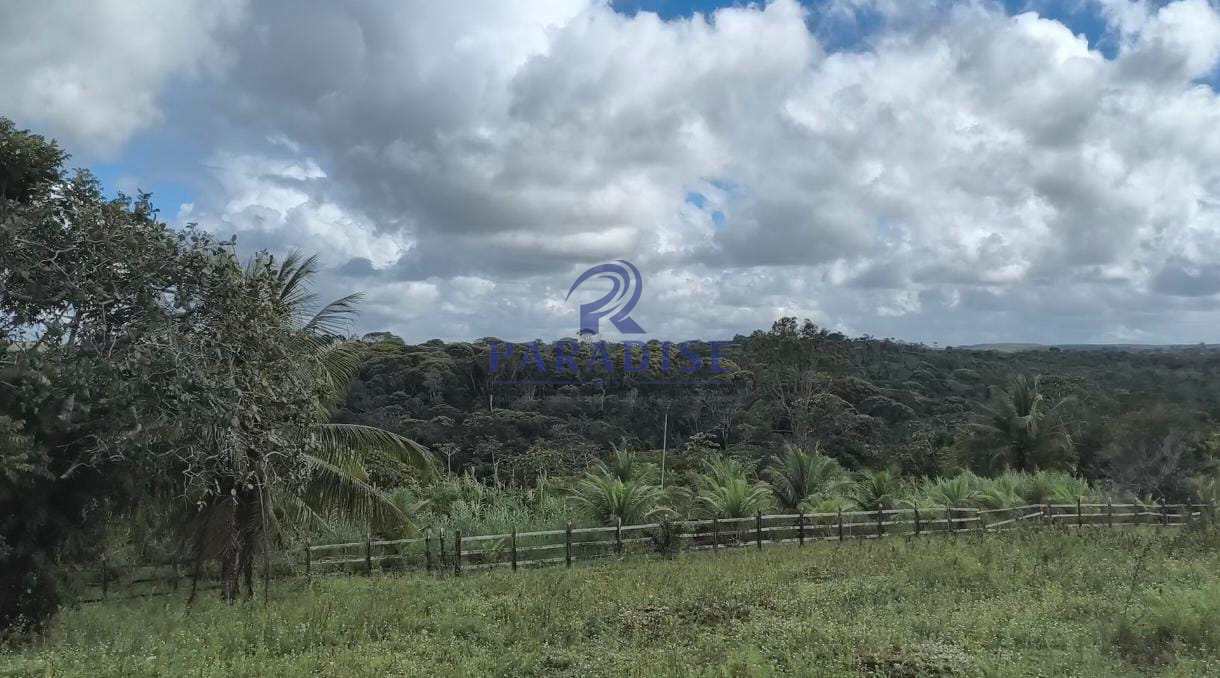 Fazenda-Sítio-Chácara, 3 quartos - Foto 8