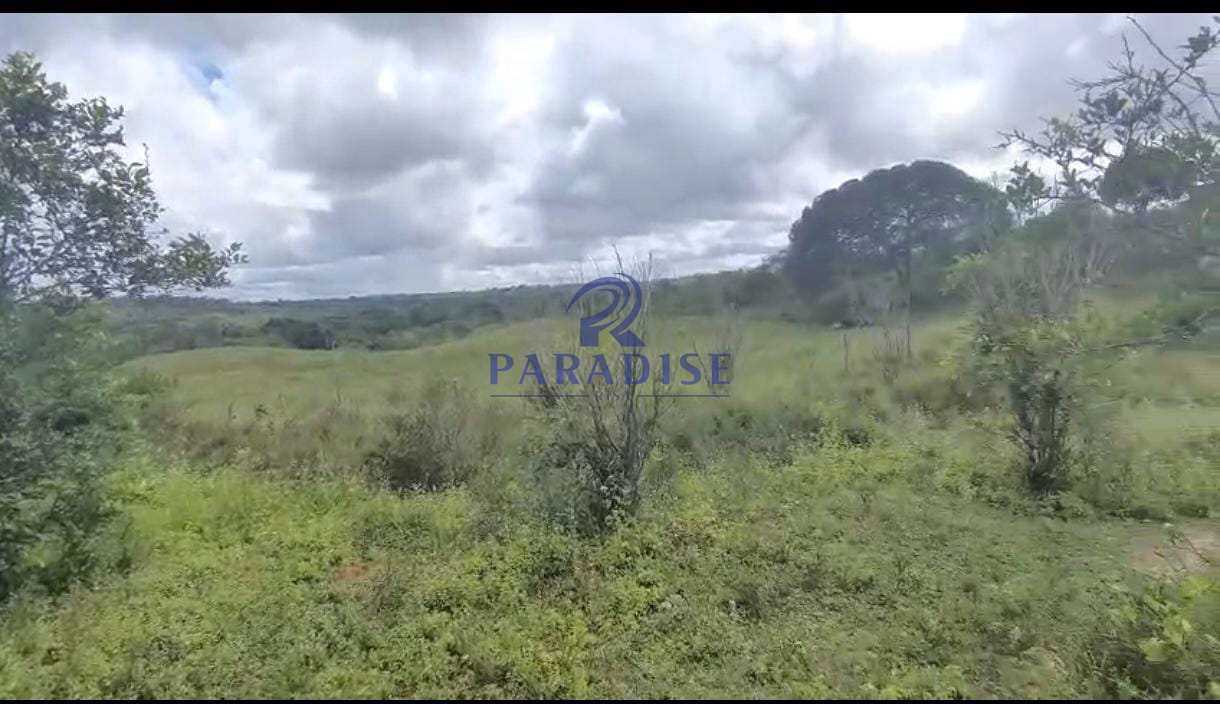 Fazenda-Sítio-Chácara, 3 quartos - Foto 16