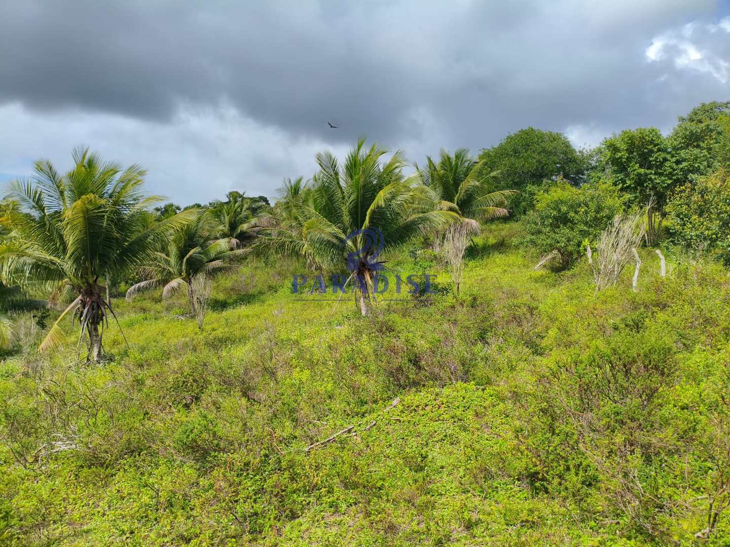 Fazenda-Sítio-Chácara, 3 quartos - Foto 4