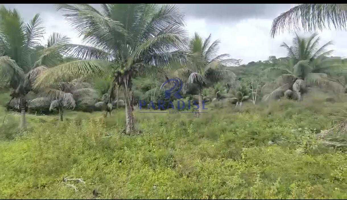 Fazenda-Sítio-Chácara, 3 quartos - Foto 15